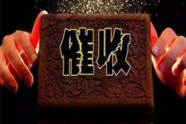 永善为什么选择专业追讨公司来处理您的债务纠纷？